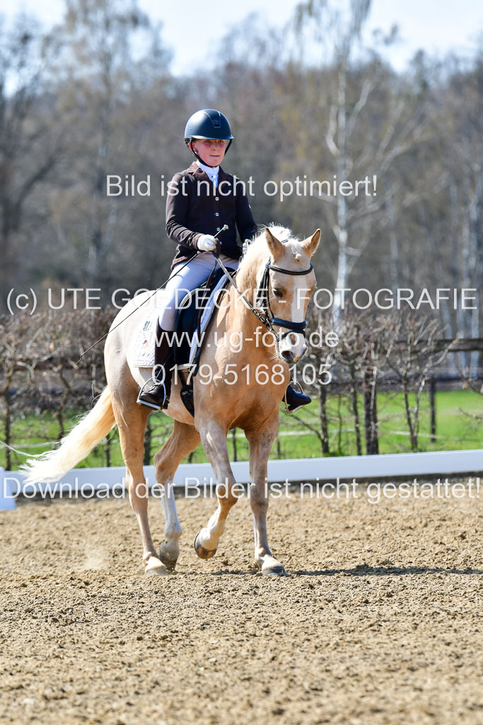 Reitsportzentrum Bremervörde | 160421Dressurpony A_080