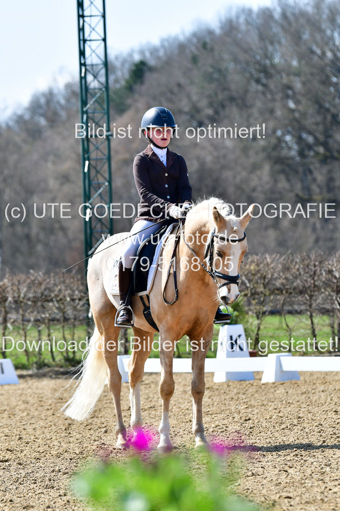 Reitsportzentrum Bremervörde | 160421Dressurpony A_081 