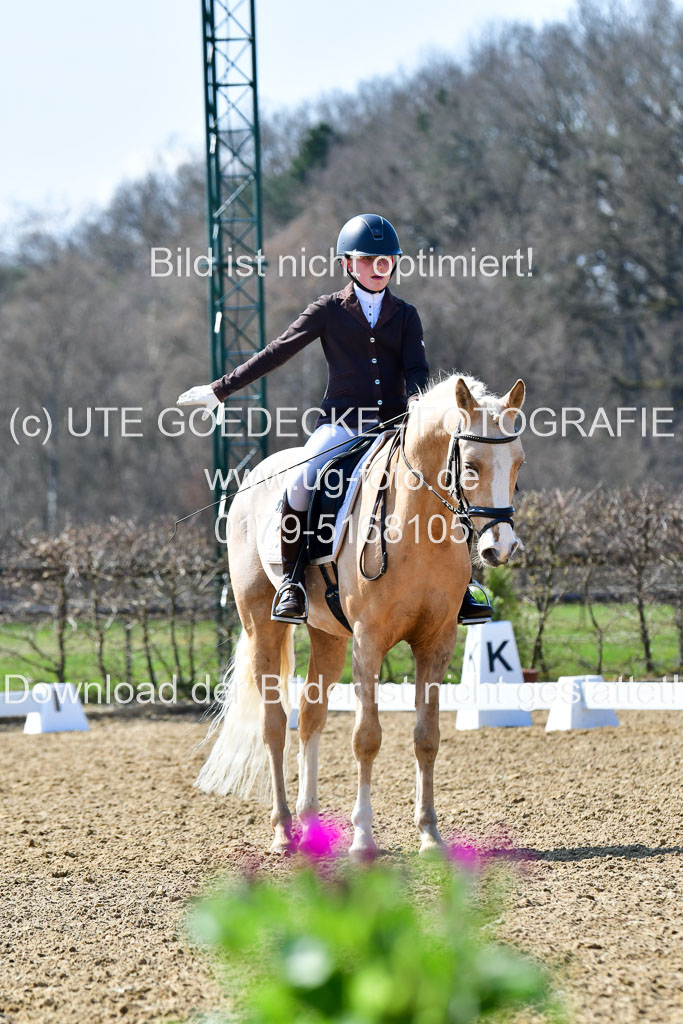 Reitsportzentrum Bremervörde | 160421Dressurpony A_082 