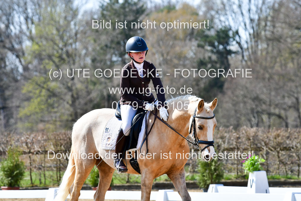 Reitsportzentrum Bremervörde | 160421Dressurpony A_083 