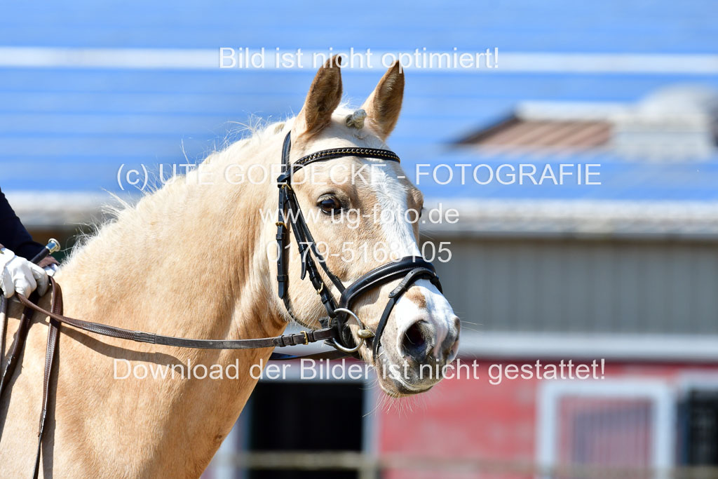 Reitsportzentrum Bremervörde | 160421Dressurpony A_084 