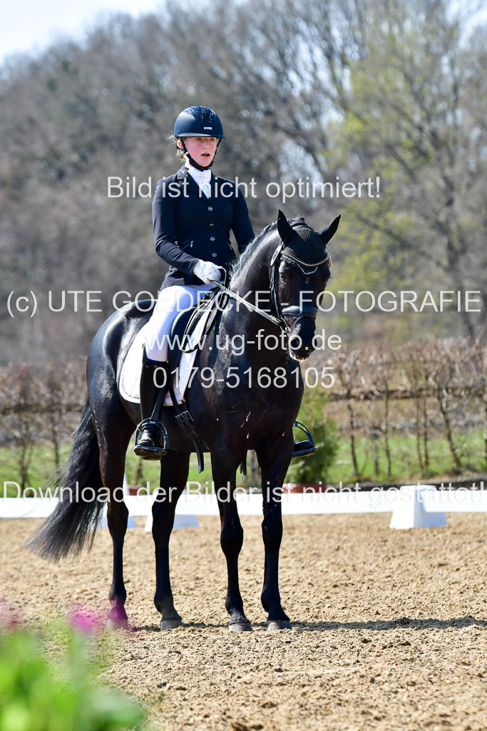 Reitsportzentrum Bremervörde | 160421Dressurpony A_088 