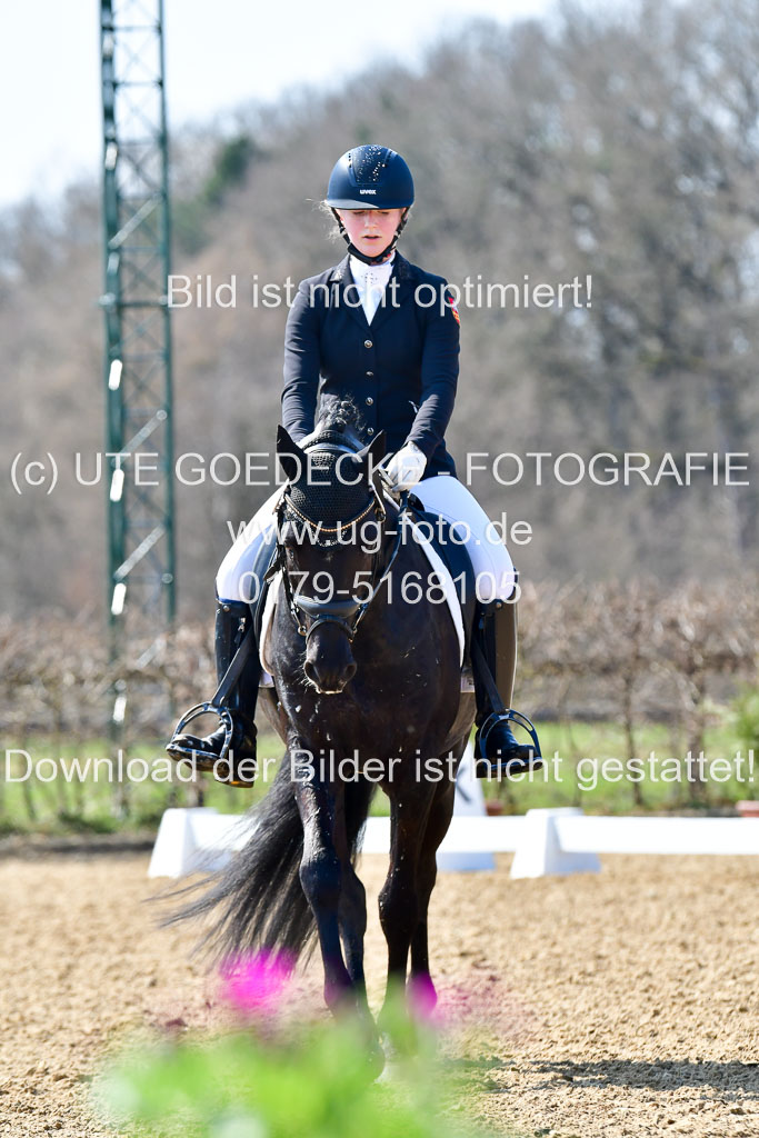 Reitsportzentrum Bremervörde | 160421Dressurpony A_090 