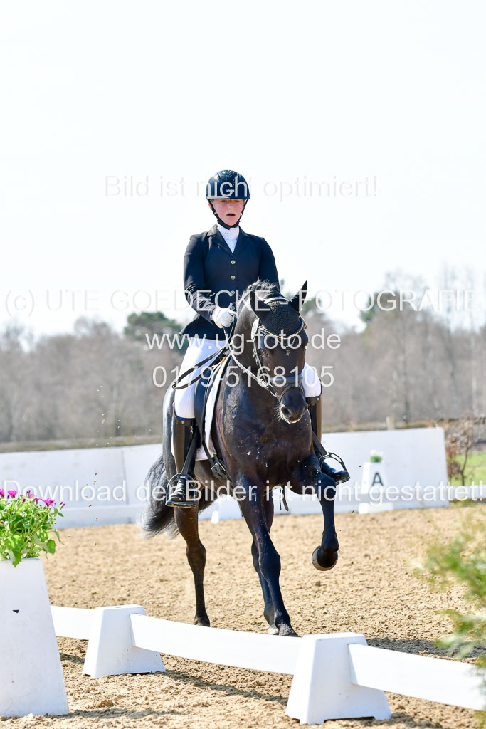 Reitsportzentrum Bremervörde | 160421Dressurpony A_094 