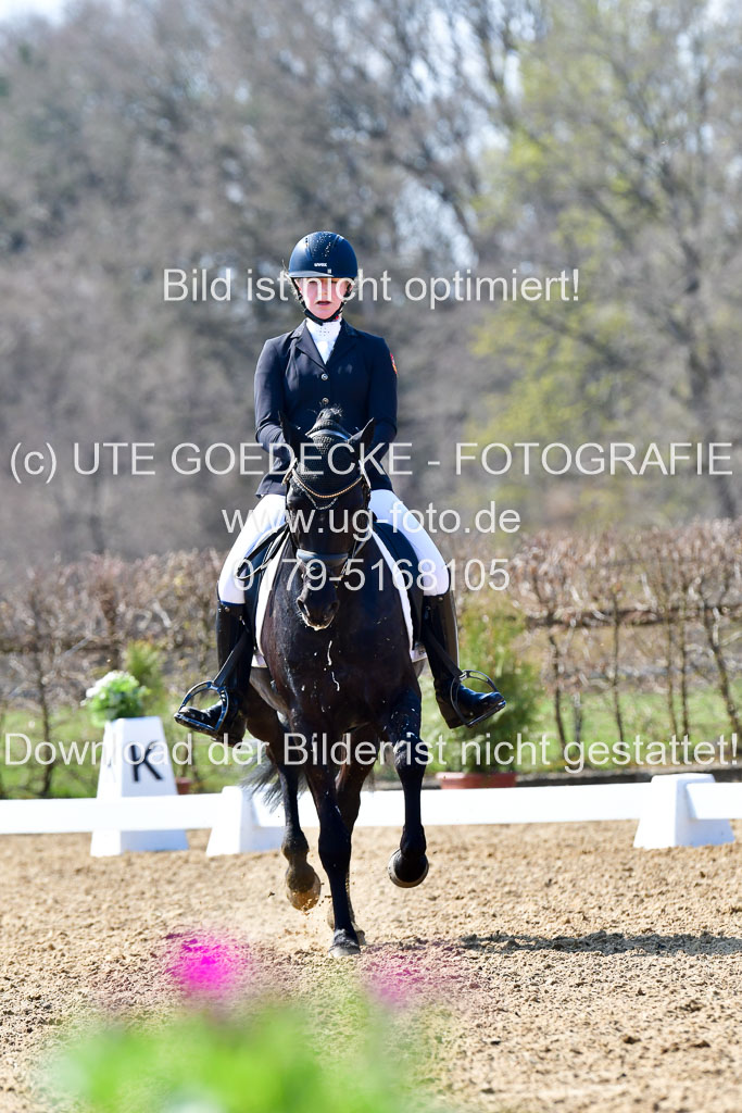 Reitsportzentrum Bremervörde | 160421Dressurpony A_097 