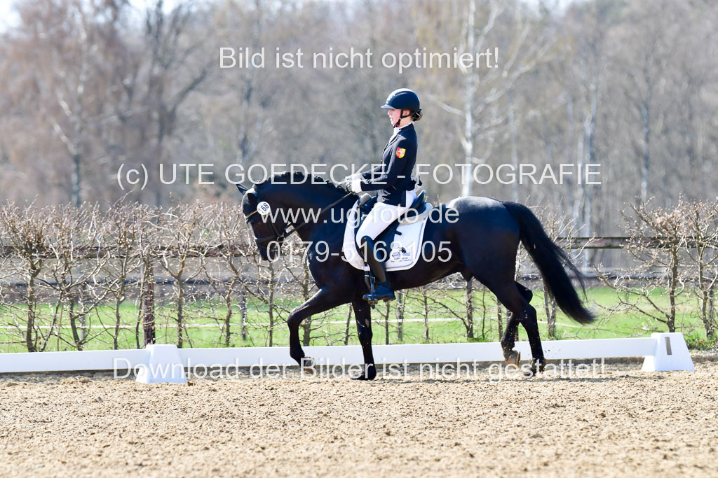 Reitsportzentrum Bremervörde | 160421Dressurpony A_098 