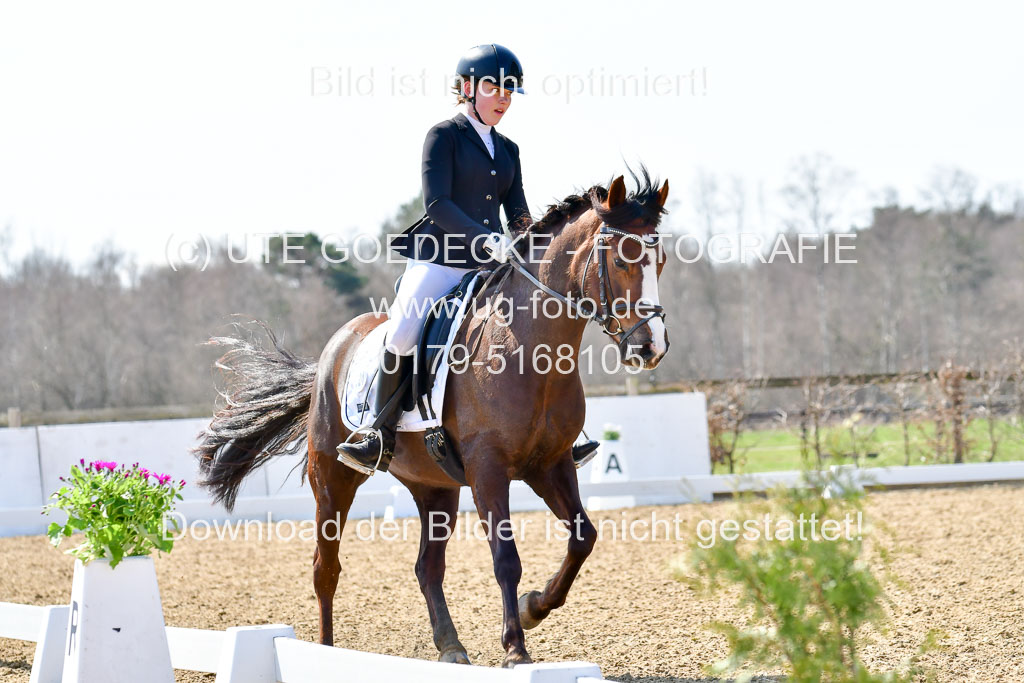 Reitsportzentrum Bremervörde | 160421Dressurpony A_110