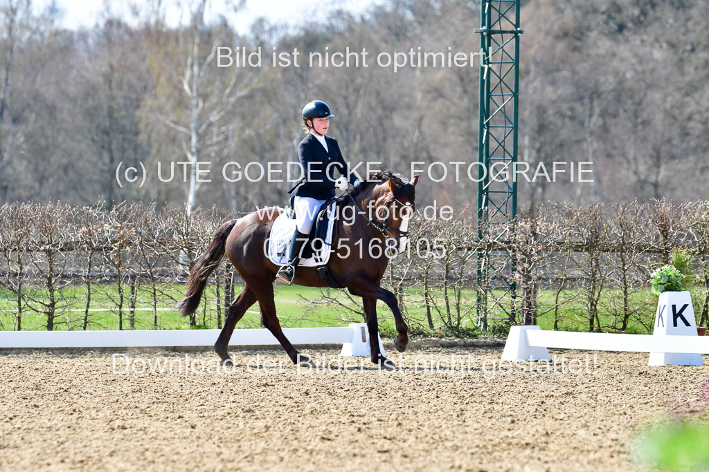 Reitsportzentrum Bremervörde | 160421Dressurpony A_114