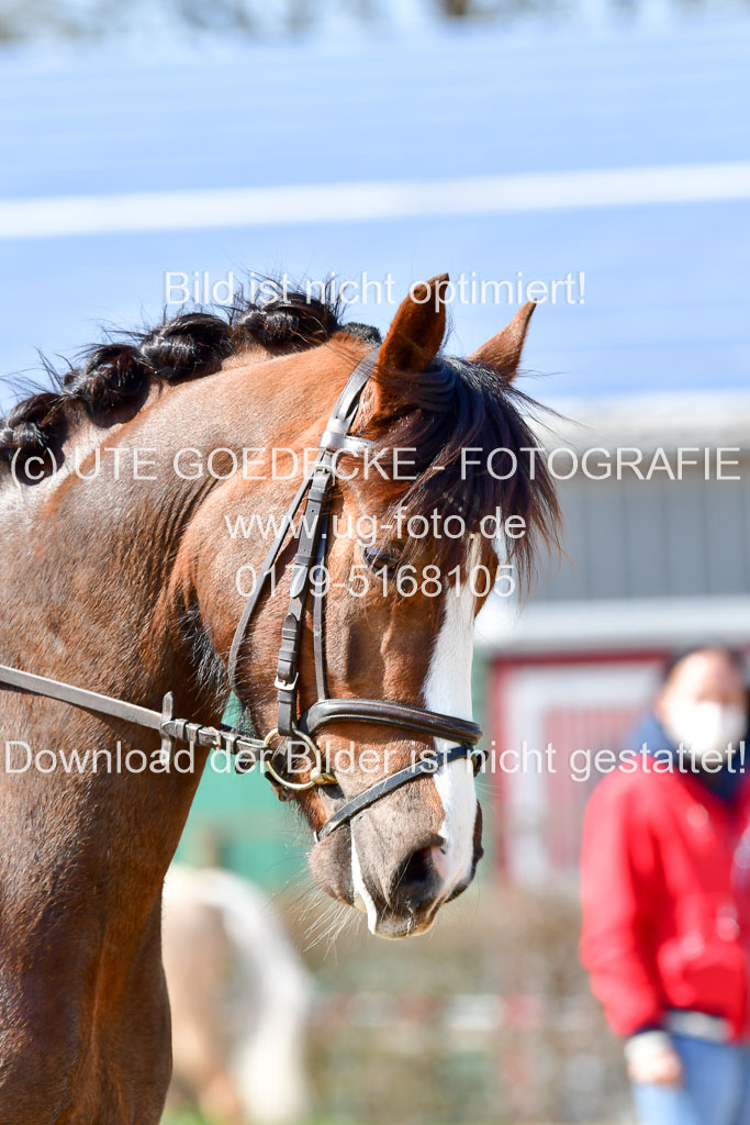 Reitsportzentrum Bremervörde | 160421Dressurpony A_118