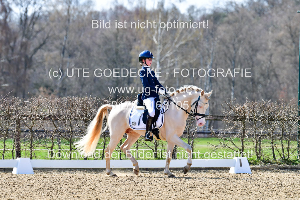 Reitsportzentrum Bremervörde | 160421Dressurpony A_119