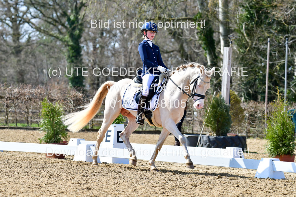 Reitsportzentrum Bremervörde | 160421Dressurpony A_121