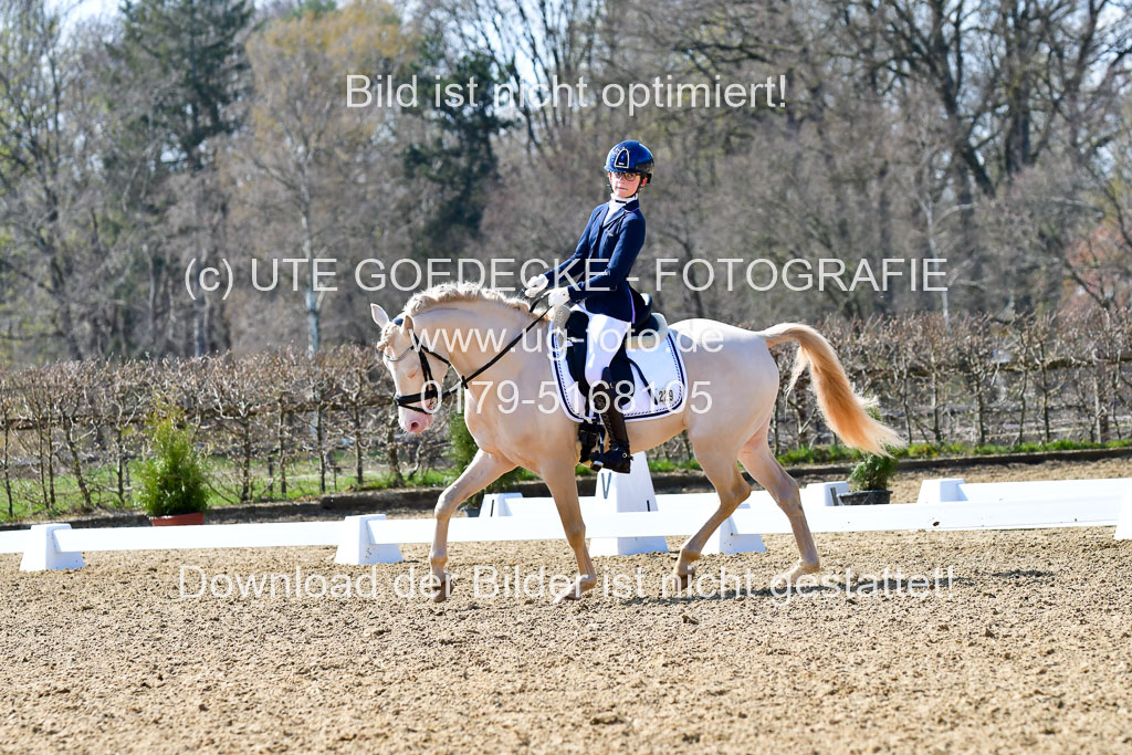 Reitsportzentrum Bremervörde | 160421Dressurpony A_123