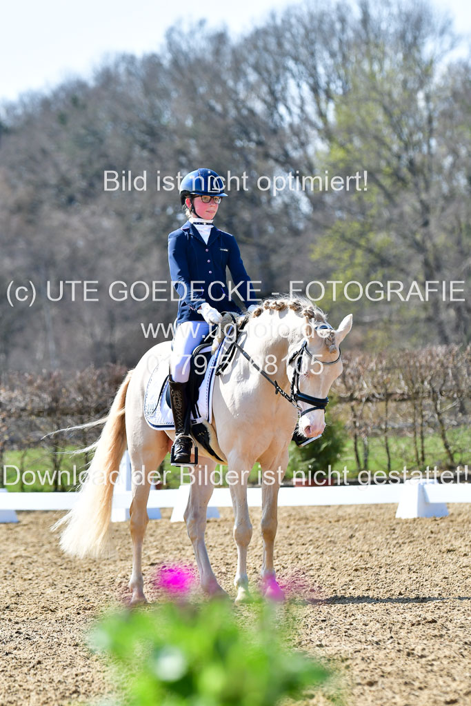 Reitsportzentrum Bremervörde | 160421Dressurpony A_125