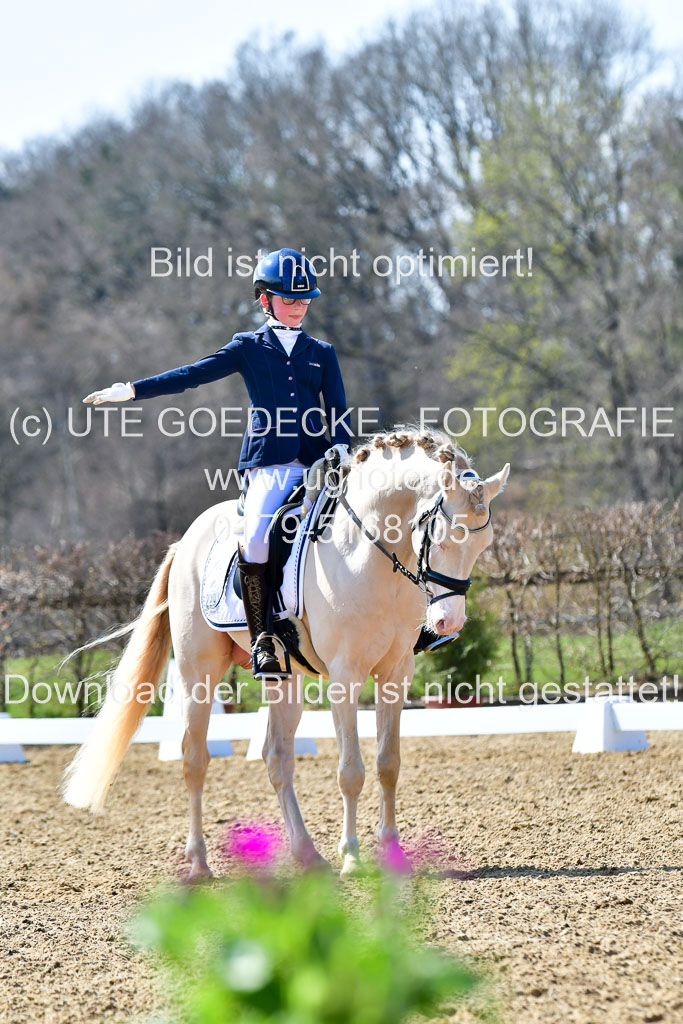 Reitsportzentrum Bremervörde | 160421Dressurpony A_126