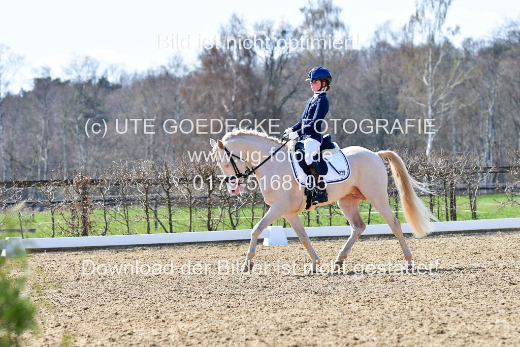 Reitsportzentrum Bremervörde | 160421Dressurpony A_130