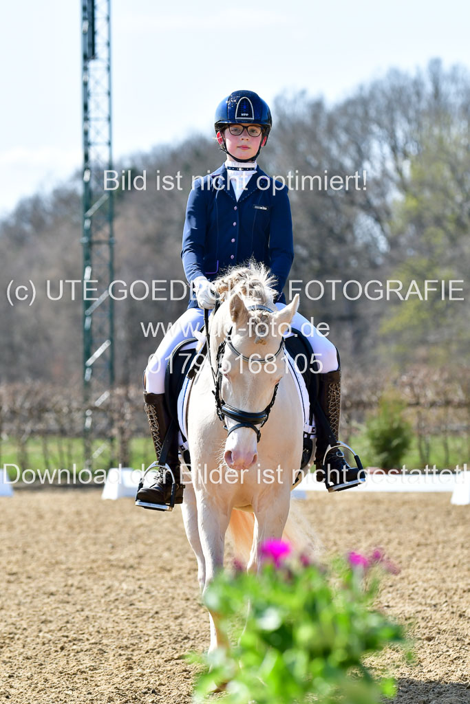Reitsportzentrum Bremervörde | 160421Dressurpony A_131