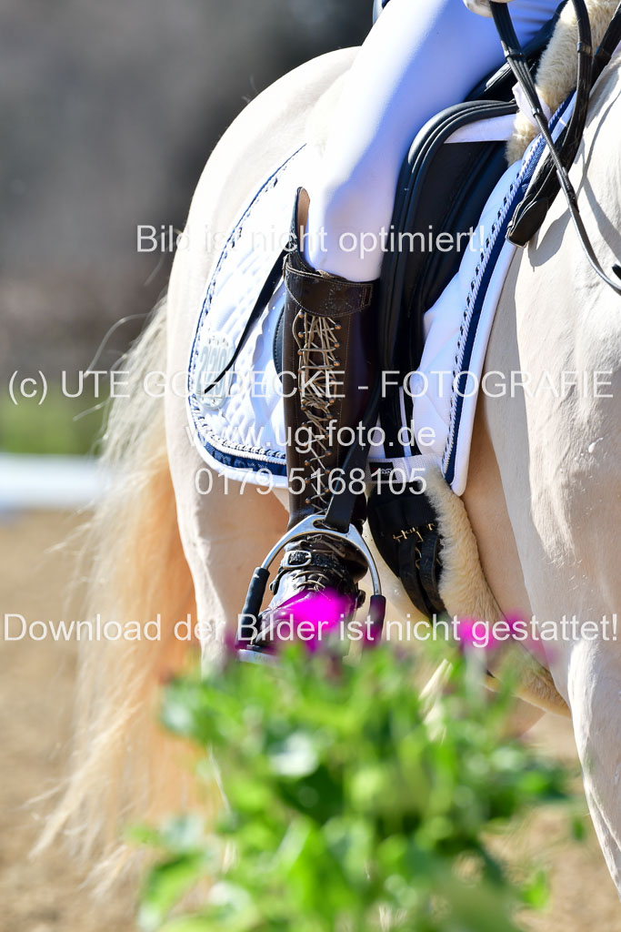 Reitsportzentrum Bremervörde | 160421Dressurpony A_132