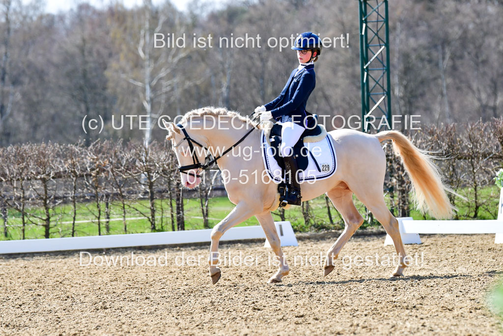 Reitsportzentrum Bremervörde | 160421Dressurpony A_134