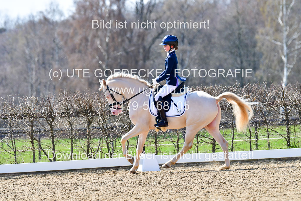 Reitsportzentrum Bremervörde | 160421Dressurpony A_135