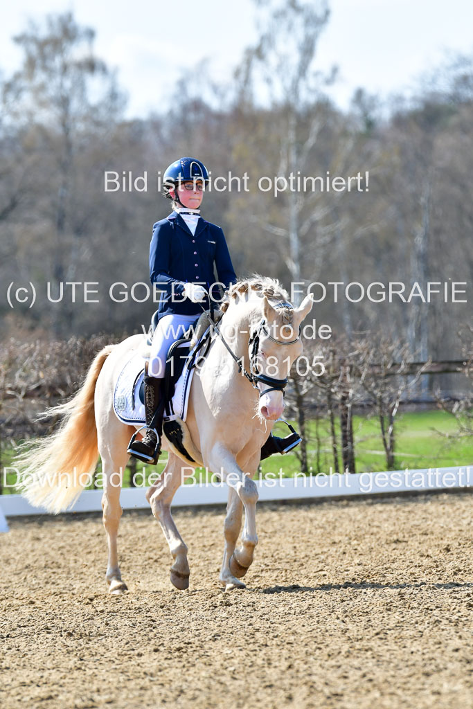 Reitsportzentrum Bremervörde | 160421Dressurpony A_141