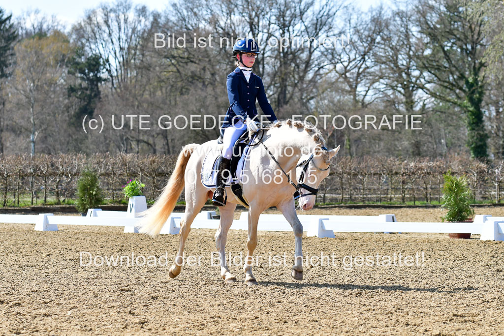 Reitsportzentrum Bremervörde | 160421Dressurpony A_142