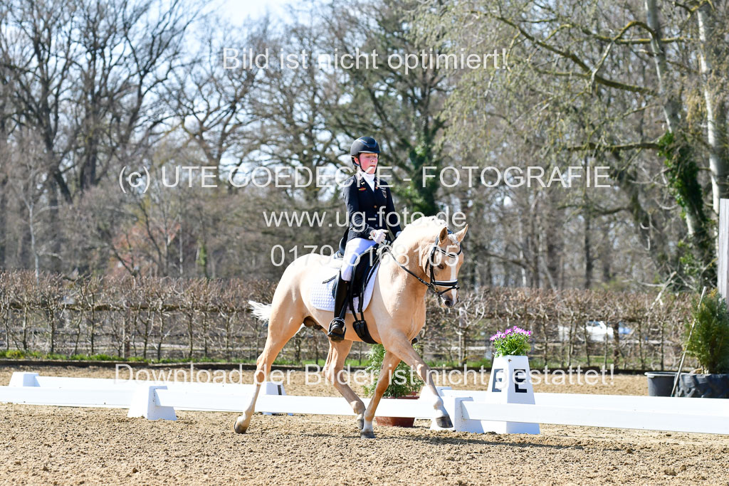 Reitsportzentrum Bremervörde | 160421Dressurpony A_144