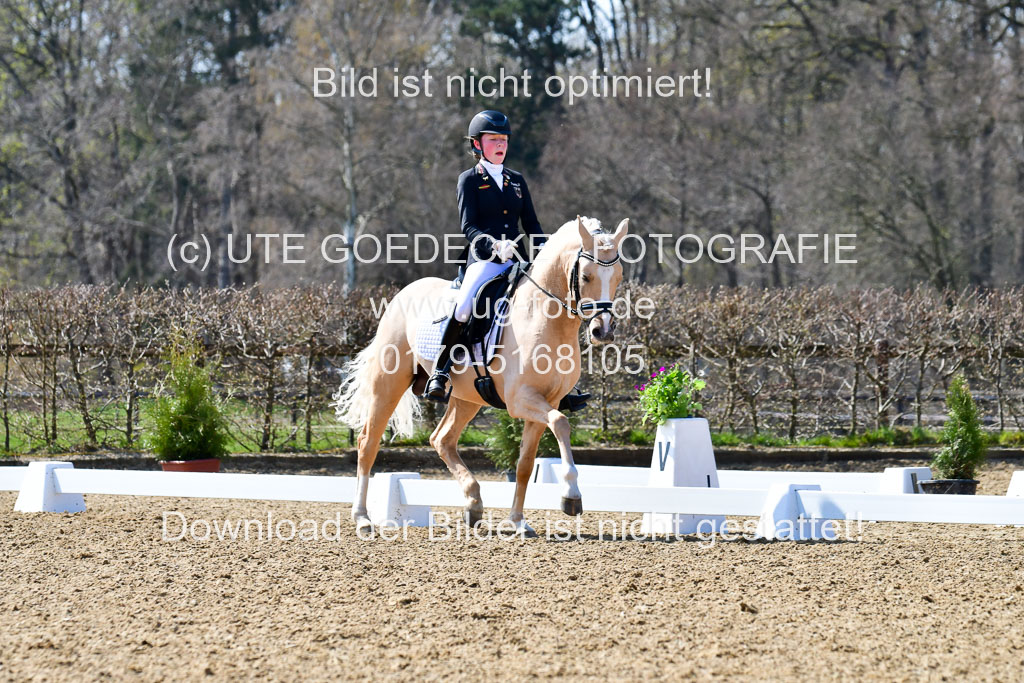 Reitsportzentrum Bremervörde | 160421Dressurpony A_146