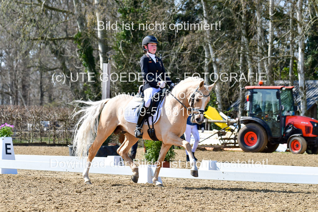 Reitsportzentrum Bremervörde | 160421Dressurpony A_148