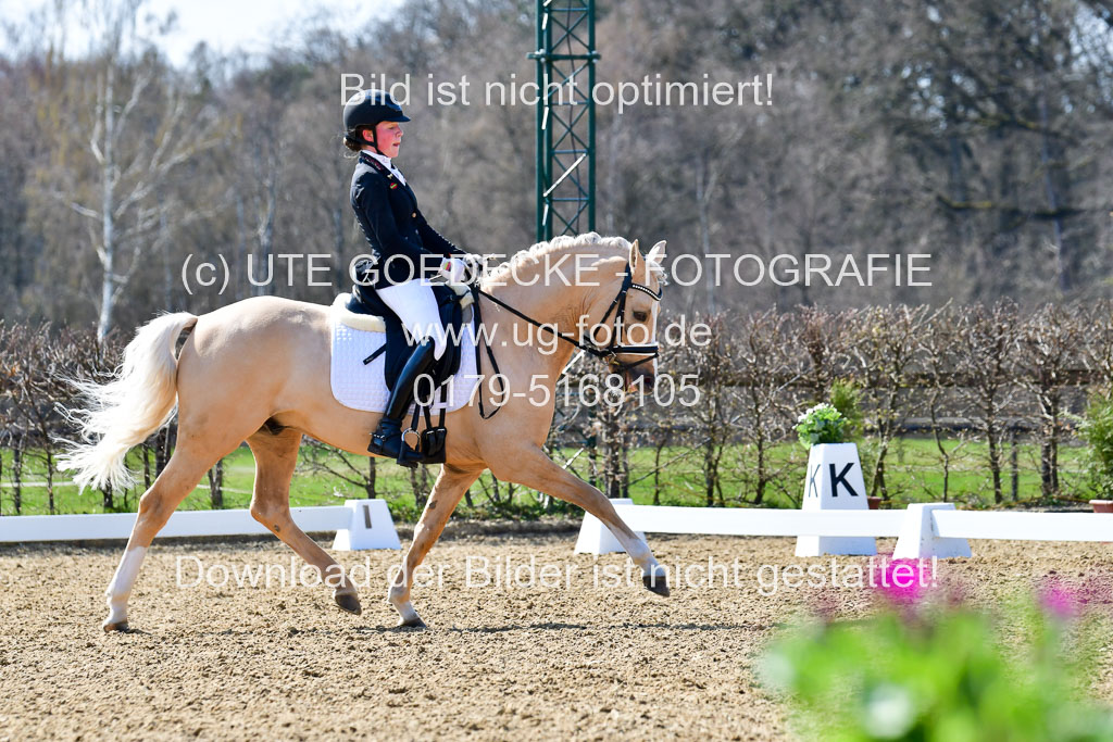 Reitsportzentrum Bremervörde | 160421Dressurpony A_150