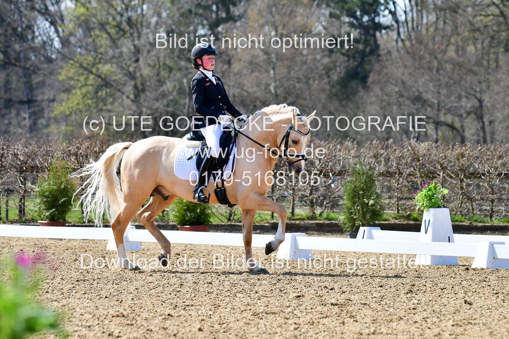 Reitsportzentrum Bremervörde | 160421Dressurpony A_151