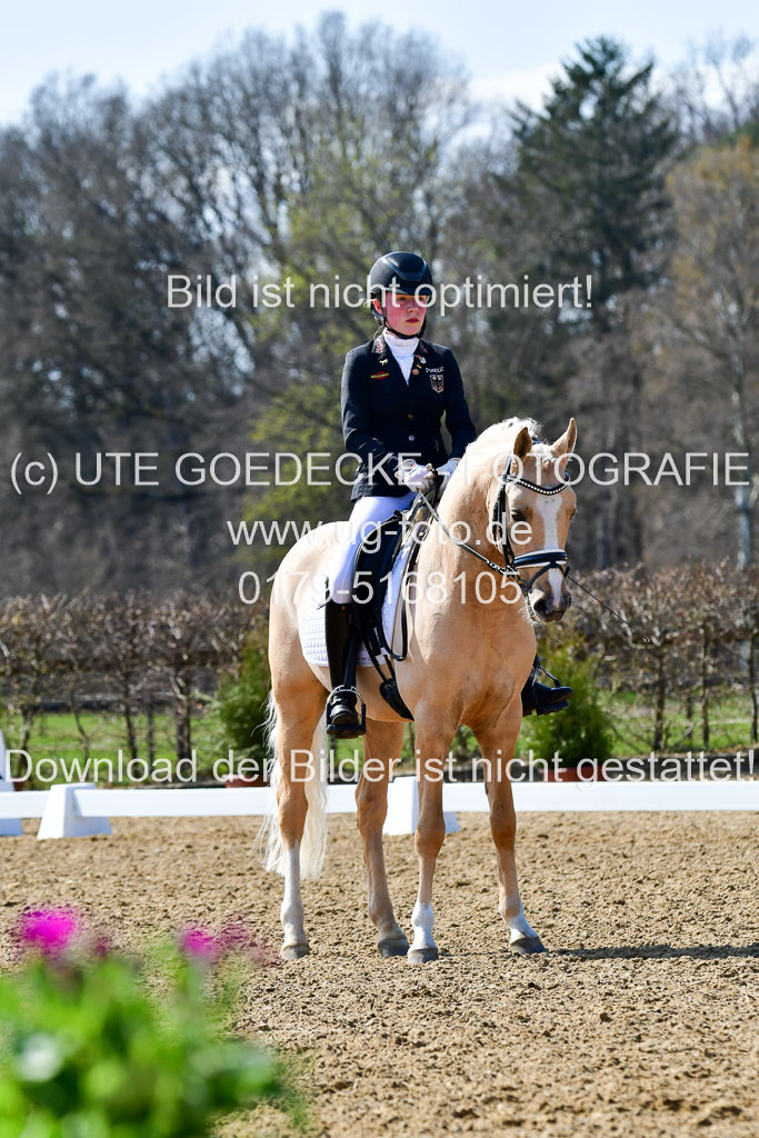 Reitsportzentrum Bremervörde | 160421Dressurpony A_153