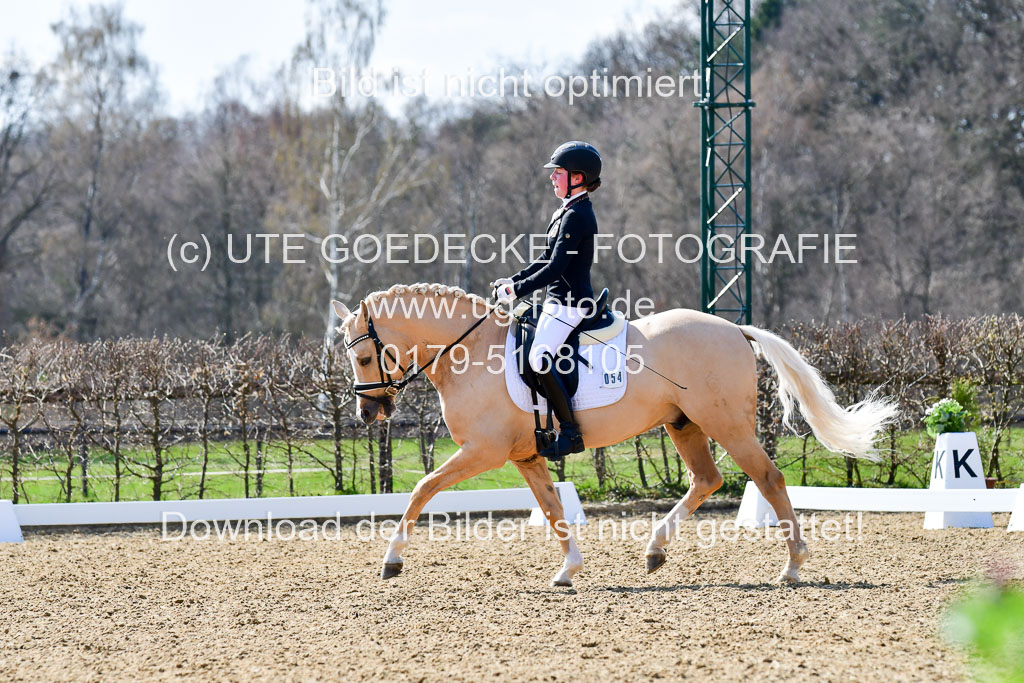 Reitsportzentrum Bremervörde | 160421Dressurpony A_157