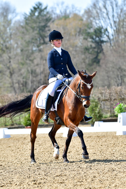 Reitsportzentrum Bremervörde | 160421Dressurpony A_020 