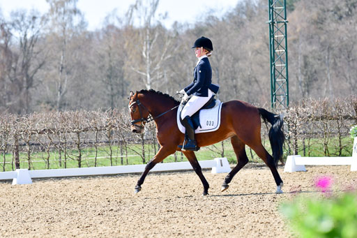 Reitsportzentrum Bremervörde | 160421Dressurpony A_022 