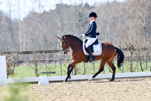 Reitsportzentrum Bremervörde | 160421Dressurpony A_023 