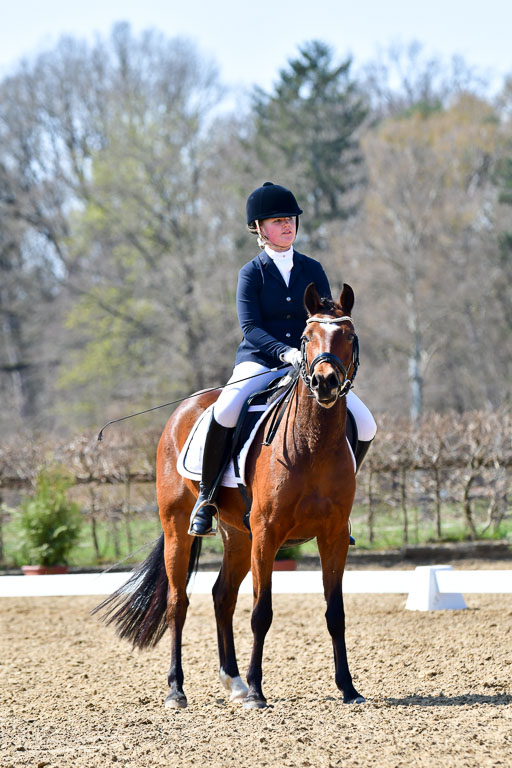 Reitsportzentrum Bremervörde | 160421Dressurpony A_028 