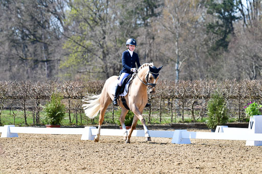 Reitsportzentrum Bremervörde | 160421Dressurpony A_029 