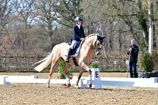 Reitsportzentrum Bremervörde | 160421Dressurpony A_031 