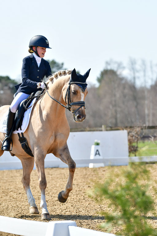 Reitsportzentrum Bremervörde | 160421Dressurpony A_039 