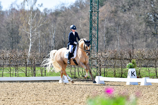 Reitsportzentrum Bremervörde | 160421Dressurpony A_041 