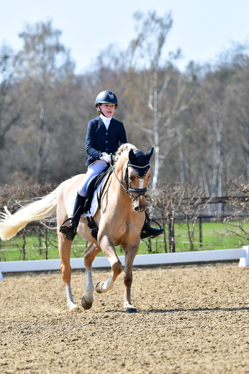 Reitsportzentrum Bremervörde | 160421Dressurpony A_044 