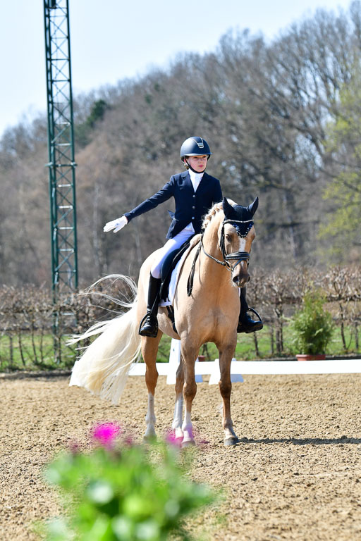 Reitsportzentrum Bremervörde | 160421Dressurpony A_045 
