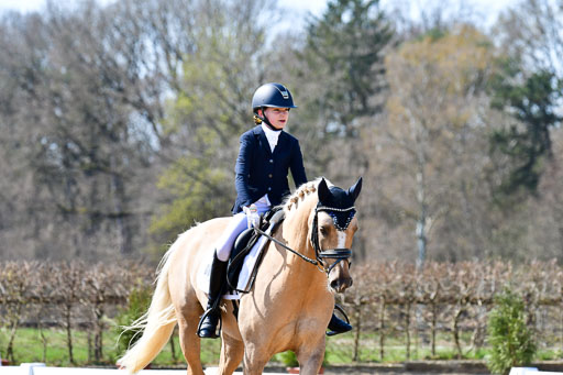 Reitsportzentrum Bremervörde | 160421Dressurpony A_046 