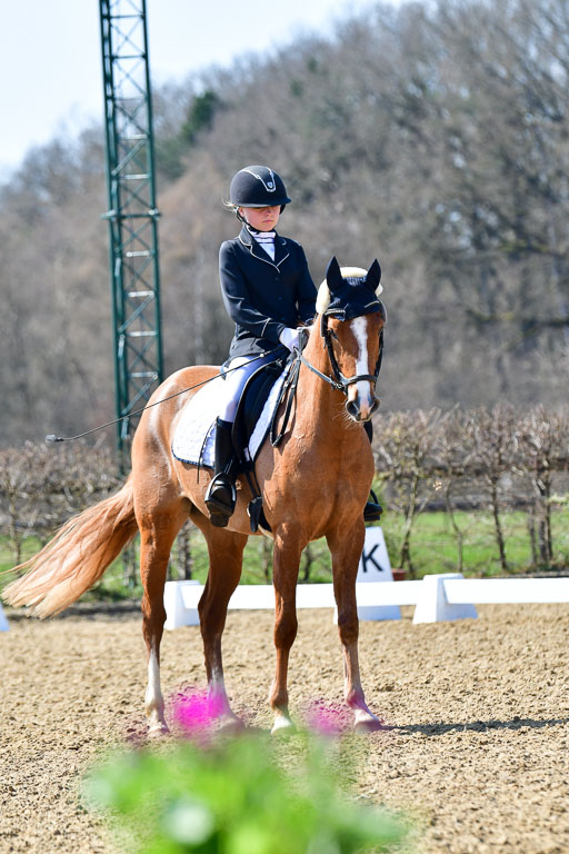 Reitsportzentrum Bremervörde | 160421Dressurpony A_052 
