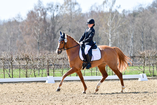 Reitsportzentrum Bremervörde | 160421Dressurpony A_054 