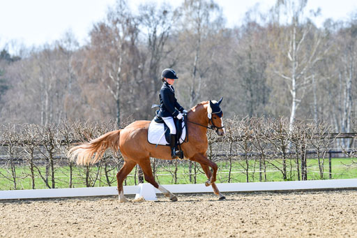 Reitsportzentrum Bremervörde | 160421Dressurpony A_056 
