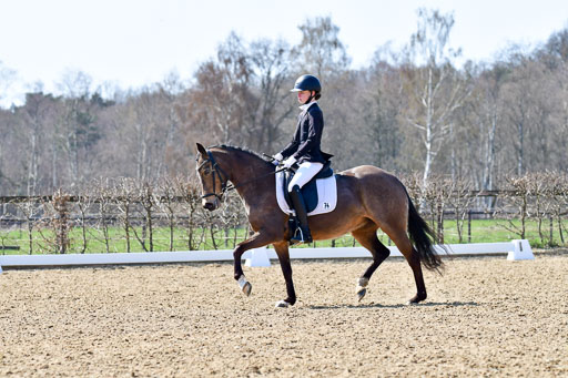 Reitsportzentrum Bremervörde | 160421Dressurpony A_064 