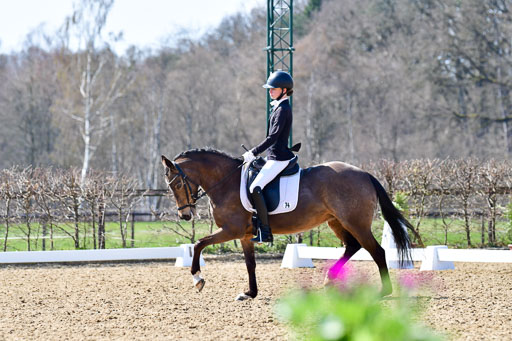 Reitsportzentrum Bremervörde | 160421Dressurpony A_066 