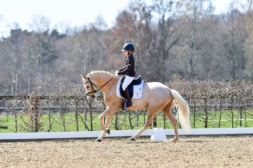 Reitsportzentrum Bremervörde | 160421Dressurpony A_074 