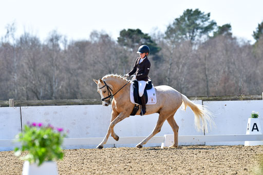 Reitsportzentrum Bremervörde | 160421Dressurpony A_075 